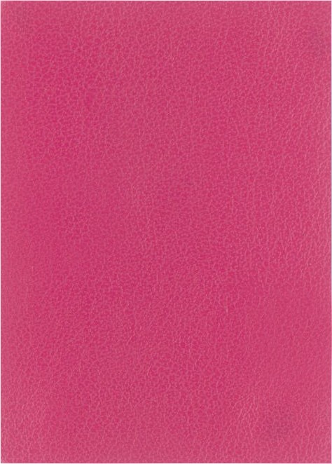 Fucsia liso