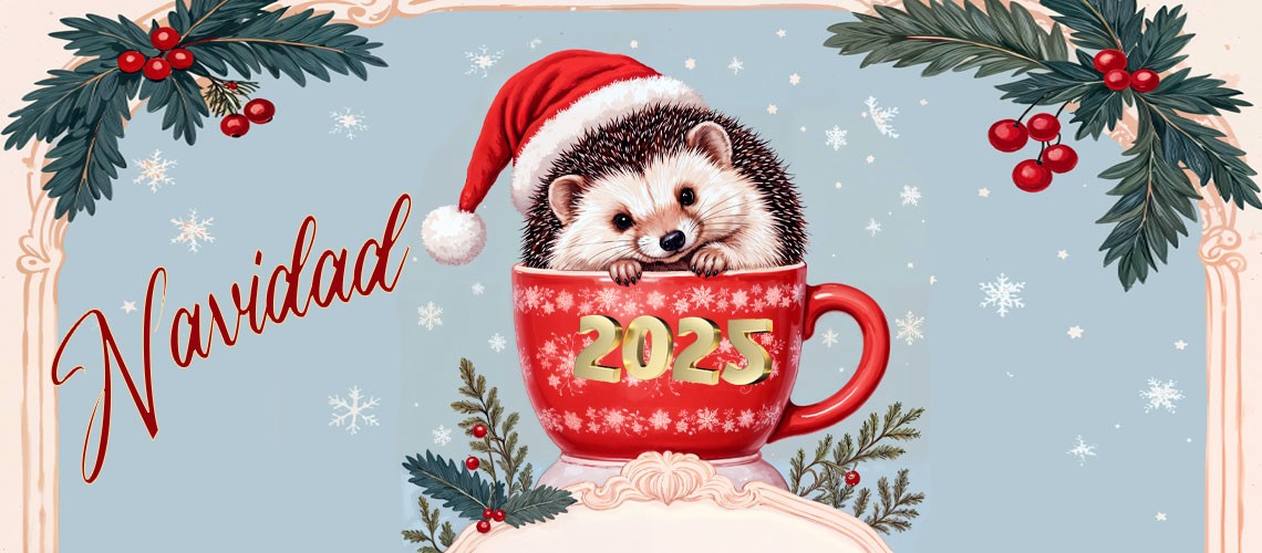 navidad 2025
